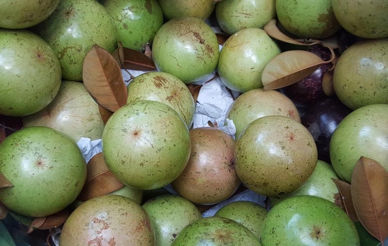 me-dang-mang-thai-co-nen-an-vu-sua-khong-3