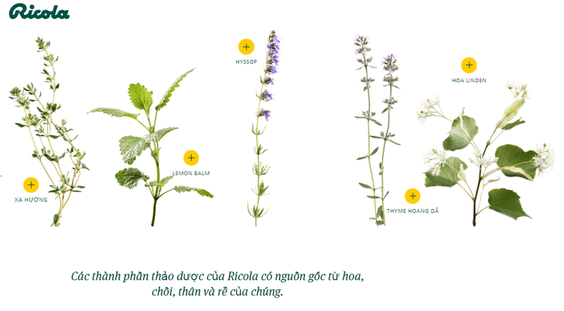 Kẹo Ricola của nước nào? Kẹo ngậm ho Ricola có tốt không? 2