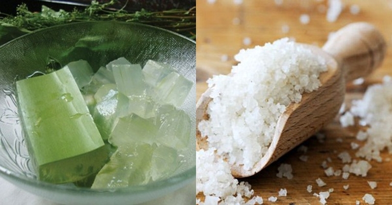 Trị gàu và rụng tóc bằng nha đam, bạn đã thử chưa? 4