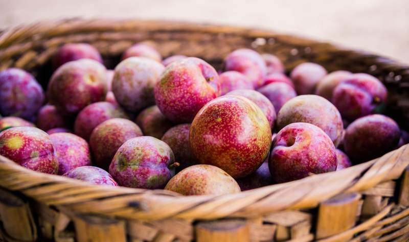 Bầu 3 tháng đầu ăn mận được không?