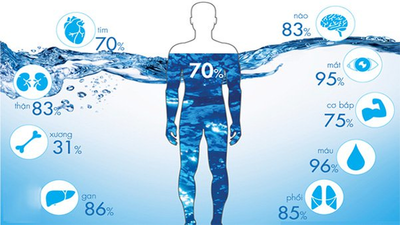 Uống Pocari Sweat khi nào thì tốt? Lợi ích của Pocari Sweat 2