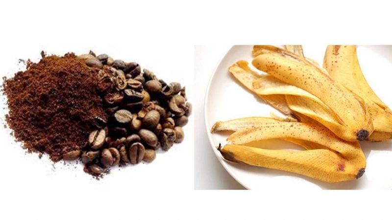 8 công thức tẩy tế bào chết bằng bã cà phê 4