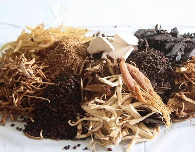 3 bài thuốc Đông y trị đau khớp gối cải thiện tình trạng đau nhức xương 3