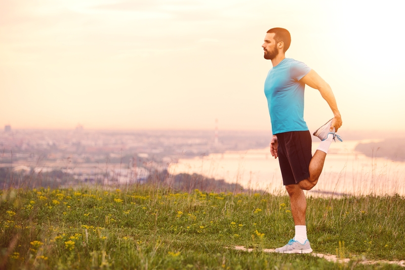 Nhung hươu là gì? Ăn nhung hươu có béo không? 2