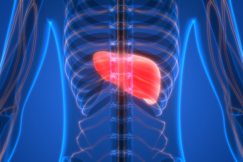 3 cách đơn giản giúp mát gan, giải độc cơ thể1