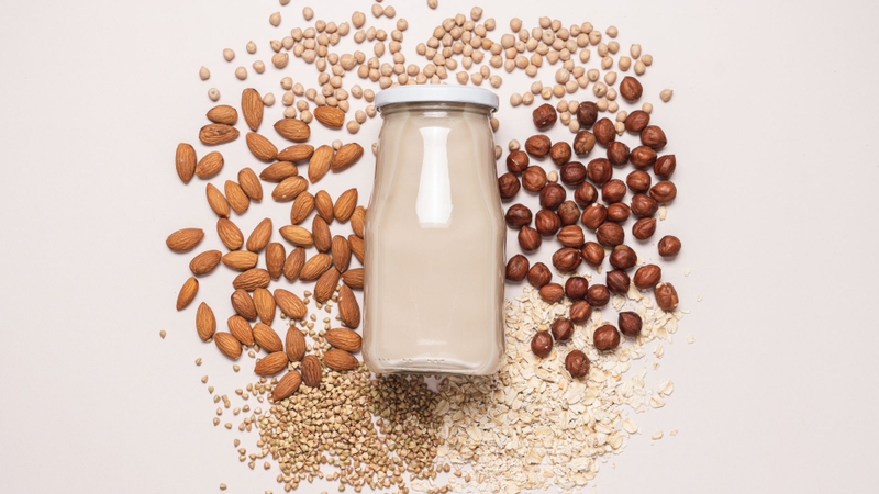 Sữa thực vật là lựa chọn thay thế cho người không dung nạp lactose