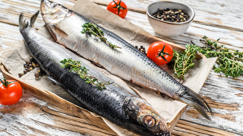 Cá trích được đánh giá là một trong những nguồn omega-3 tự nhiên dồi dào