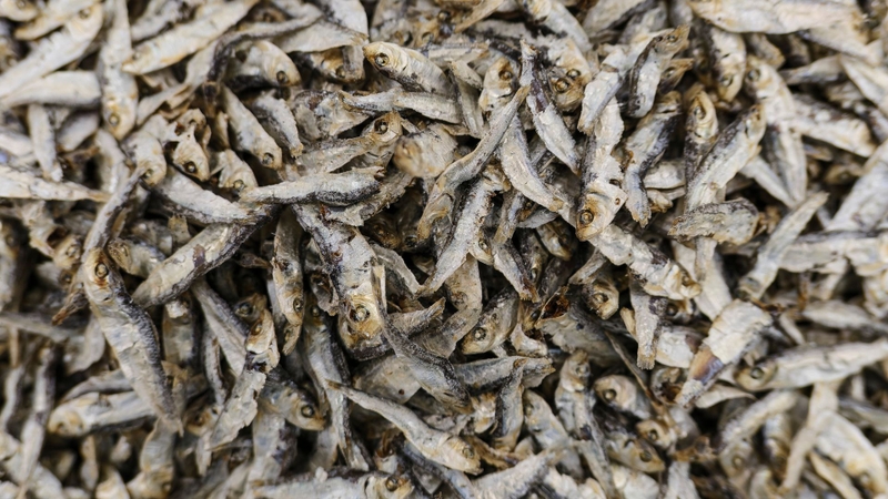 Cá cơm nhỏ nhưng cung cấp omega-3 và nhiều dưỡng chất