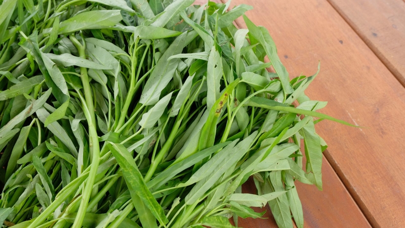 Rau muống giàu chất xơ, vitamin C, beta-carotene và khoáng chất