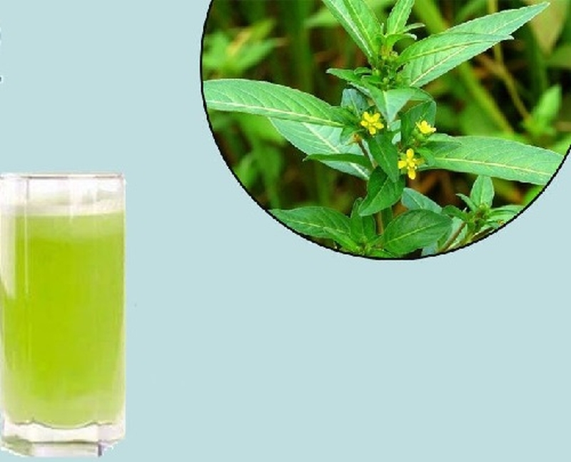 Nước cốt rau mương giúp trị trào ngược dạ dày