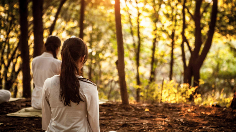 3 quy tắc giúp bạn giảm mỡ nội tạng mà không cần tập luyện 2