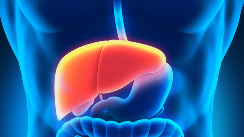 3 sai lầm thường gặp khi thanh nhiệt giải độc gan vào mùa hè 1