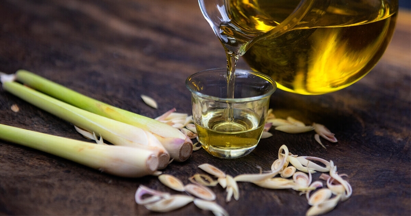 Làm thế nào để xử lý vết cắn côn trùng ở trẻ em nhanh chóng? 4