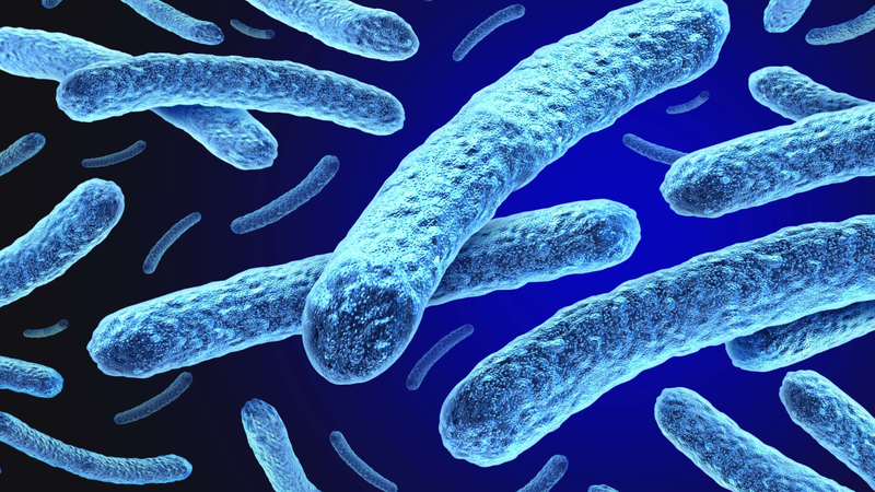 Lao vú là gì? Nguyên nhân, triệu chứng và các phương pháp phòng ngừa lao vú 4.png