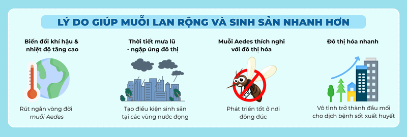Sốt xuất huyết không còn theo mùa: Biến đổi khí hậu khiến dịch bùng phát quanh năm 2