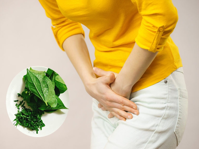 Có nên sử dụng lá lốt chữa viêm phụ khoa không? 3