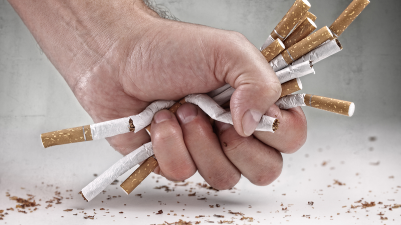 4 cách ngăn ngừa tóc bạc sớm khi còn trẻ áp dụng càng sớm càng tốt 3