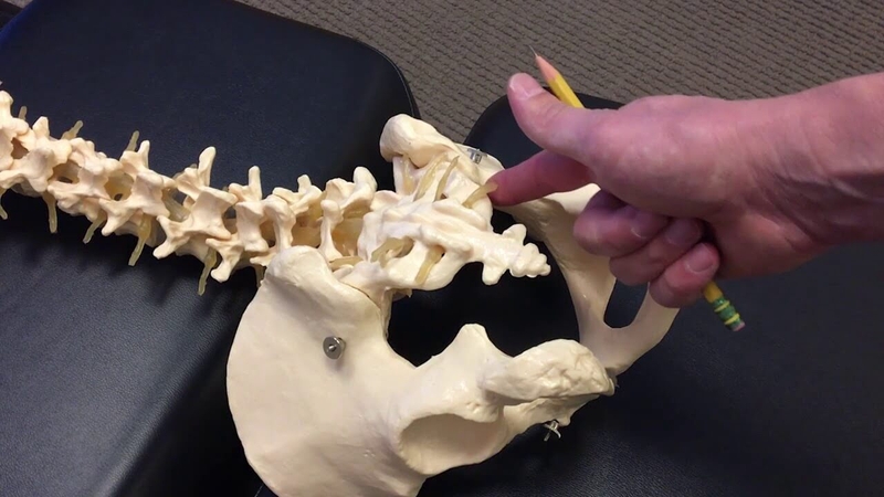 Xương cụt có vai trò gì? Những điều cần lưu ý 3