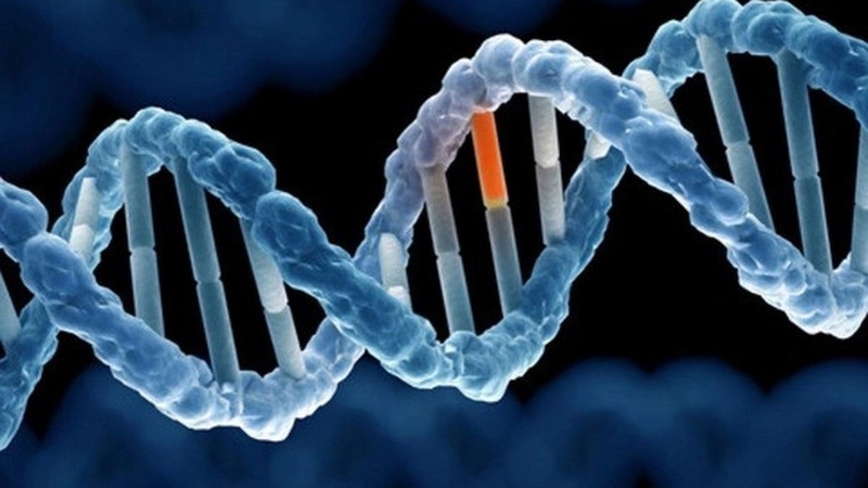 Hội chứng mệt mỏi kinh niên là gì? Nguyên nhân và cách điều trị như thế nào?+4