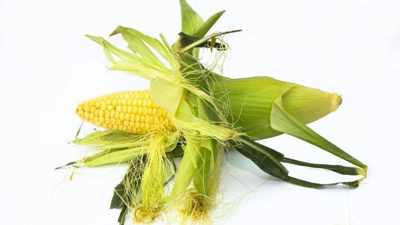 Nước râu ngô là 1 trong 4 loại nước hỗ trợ dưỡng thận ít người biết