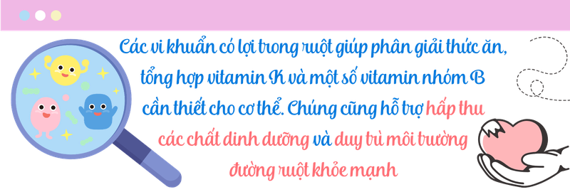 4-loai-thuoc-gay-loan-khuan-duong-ruot-thuong-gap-ai-cung-co-the-dang-su-dung-ma-khong-biet-2.png
