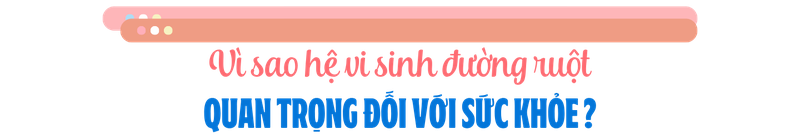 4-loai-thuoc-gay-loan-khuan-duong-ruot-thuong-gap-ai-cung-co-the-dang-su-dung-ma-khong-biet-h2-3.png