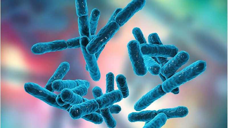 4 loại vitamin bạn nên bổ sung để giảm stress 2