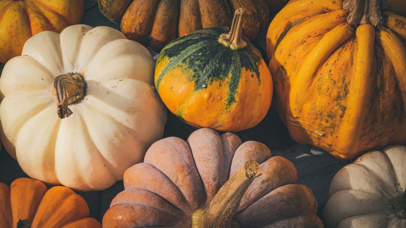 Bổ sung các món ăn từ bí vào thực đơn hằng ngày là cách đơn giản để cung cấp magie tự nhiên