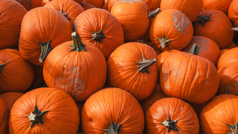 Bí đỏ bổ sung chất xơ và beta-carotene