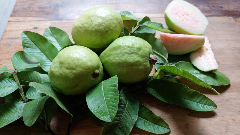 Ổi dù tốt cho sức khỏe nhưng bạn vẫn nên ăn một lượng vừa phải