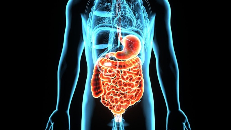 4 phương pháp kiểm tra đường tiêu hóa của bạn 5
