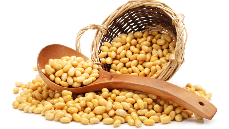 Đậu nành cân bằng estrogen và gián tiếp hỗ trợ sản xuất progesterone