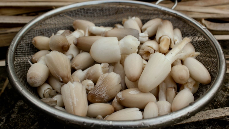 4 thực phẩm hay có trong tủ lạnh bạn không nên ăn nhiều để tránh ung thư 2