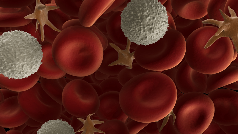 Broxuridine là gì? Những thông tin cần biết về broxuridine 5.png