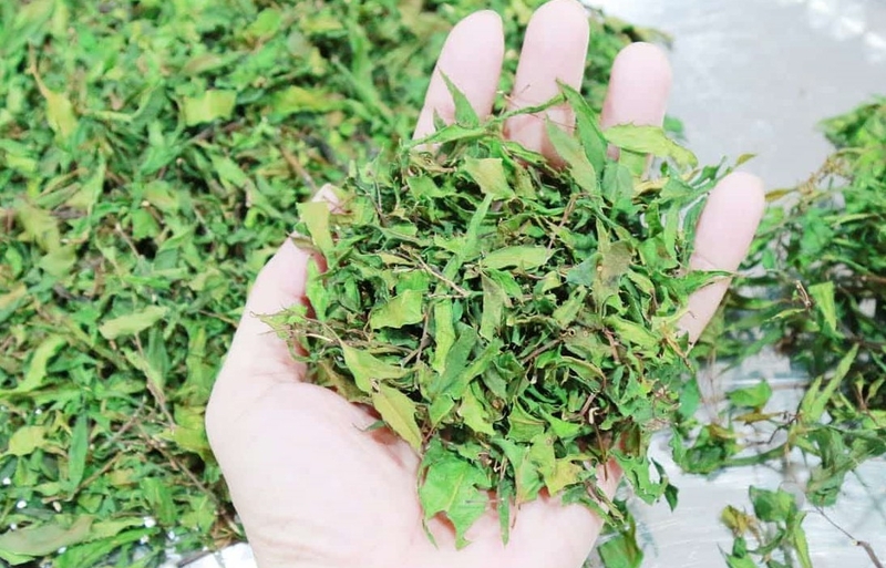 5 bài thuốc dân gian chữa thoái hóa khớp gối phổ biến hiện nay 2