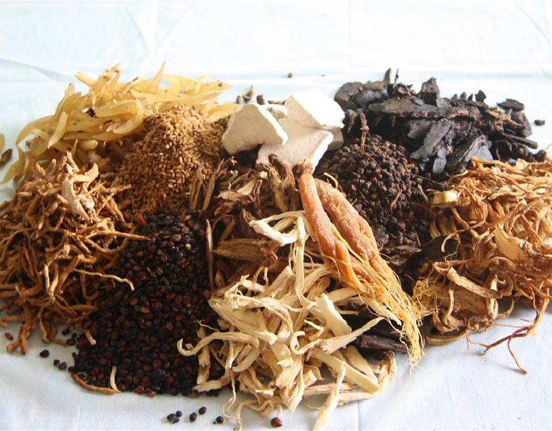 5 bài thuốc Đông Y trị viêm họng mãn tính trong dân gian 3