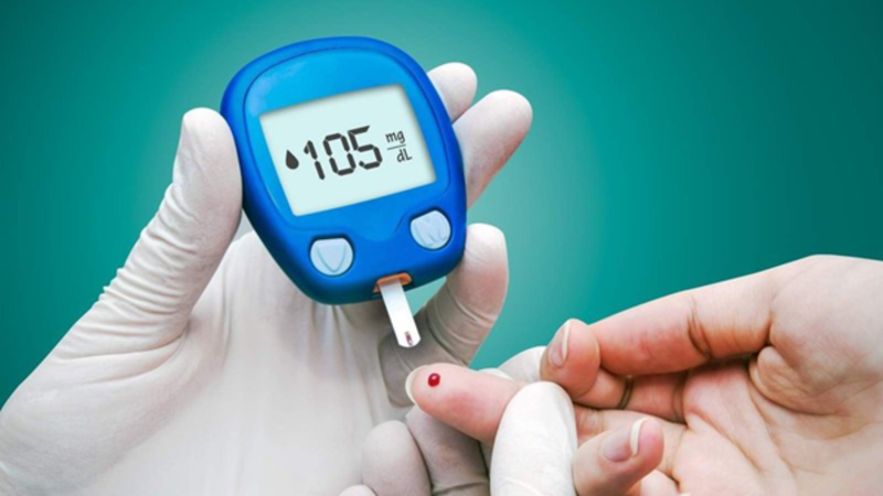 Cây Vọng cách – loài rau bảo vệ gan 5