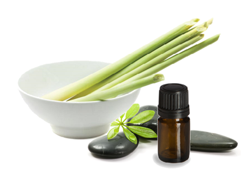 5 cách đuổi muỗi và diệt muỗi hiệu quả để phòng bệnh sốt xuất huyết - 4