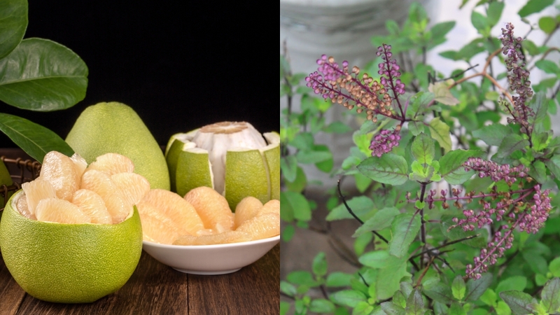 5+ cách nấu nước gội đầu chống rụng tóc bạn nên thử 4