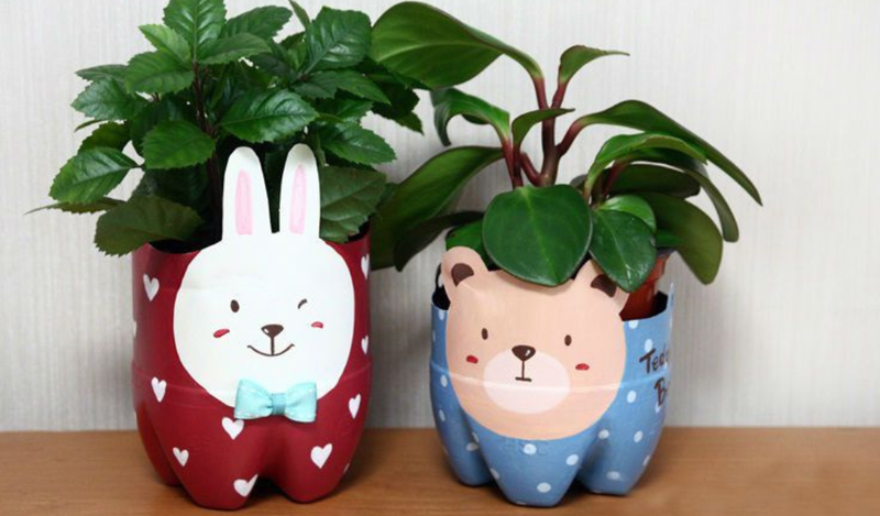 Tái chế chai nhựa thành chậu hoa để bàn