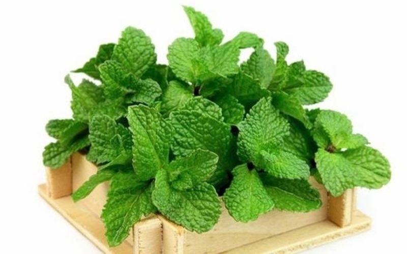 5 cách trị đau họng rát cổ tại nhà hiệu quả 3