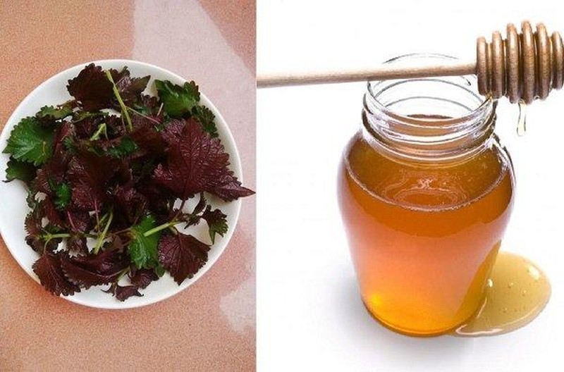 Cách trị nám bằng lá tía tô và mật ong