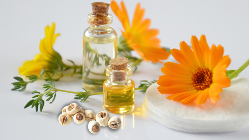 5 công dụng của dầu hạt sen đối với mái tóc 1
