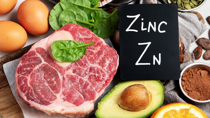 Kẽm hỗ trợ tổng hợp protein và điều hòa các hormone liên quan đến cảm giác đói