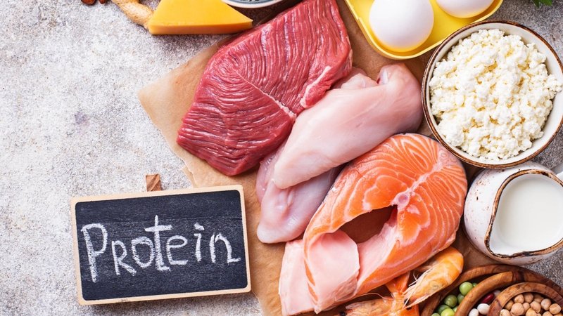 Protein giúp tạo cảm giác no lâu, giảm cảm giác thèm ăn
