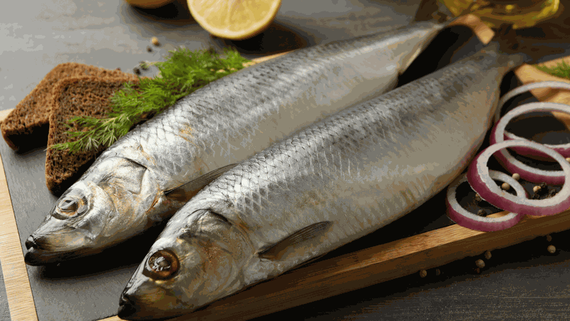 5 loại cá nên ăn thường xuyên để giảm cân và mỡ nội tạng 1