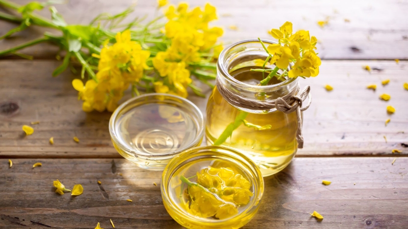 Dầu hạt cải ít chất béo bão hòa và cung cấp omega-3 ALA từ thực vật