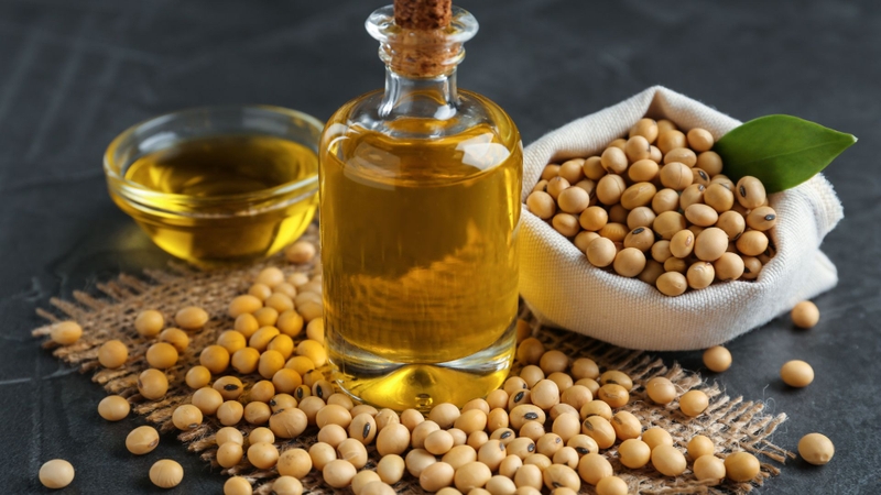 Dầu đậu nành cung cấp chất béo không bão hòa đa cùng omega-3 ALA