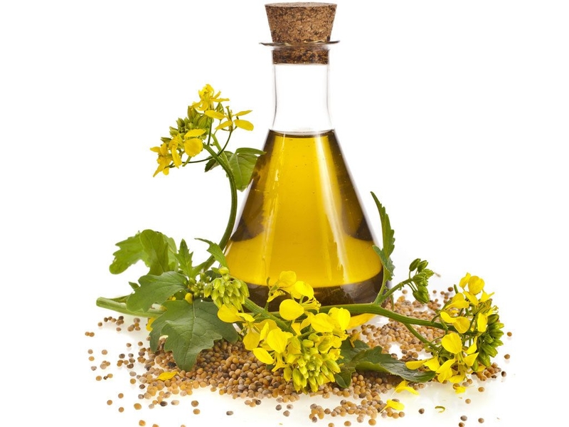 5 loại dầu thực vật tốt cho tim mạch vừa giúp giảm cân