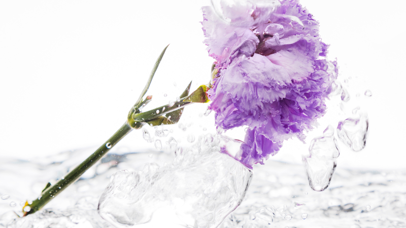 5 loại dưỡng chất chăm sóc da càng dùng sớm càng trẻ lâu 2